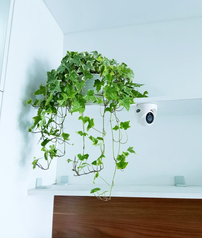 Lắp Đặt WiFi FPT Vĩnh Long